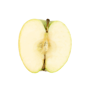 gold-rush-mit-biosuedt