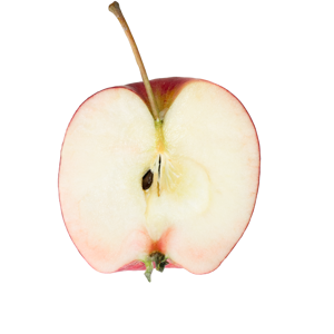 inored-story-mit-biosuedt