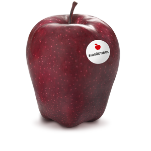 red-delicius-red-chief-mit-biosuedt