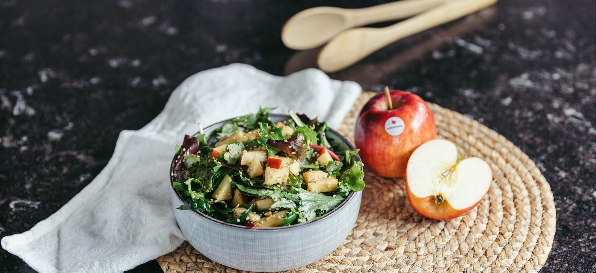 -bp-433189-c-benjamin-pfitscher