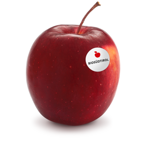 inored-story-mit-biosuedt