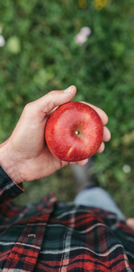 Ein Mann hält einen roten Apfel in der Hand